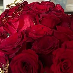 Meet your Posher, Fernanda